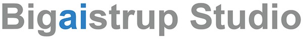 VinylCasette partner Bigaistrup Studio